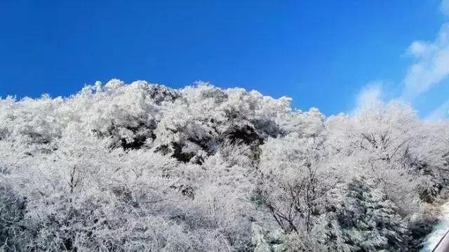 竞技宝one